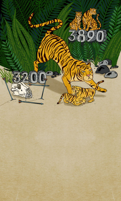 tigers_two-numbers_nagarajan