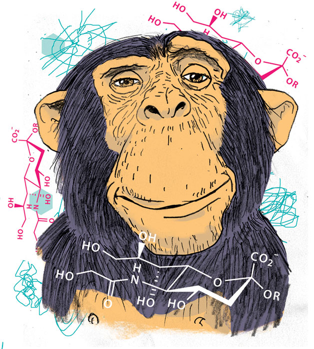levycreative_michaelbyers_chimpsperm_atlanticmonthly.jpg Levy creative management, michael byers, chimp sperm, fertility, monkey, conception